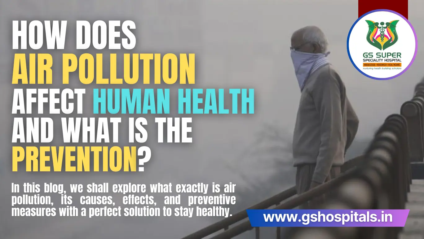 How does air pollution affect human health and what is the prevention?