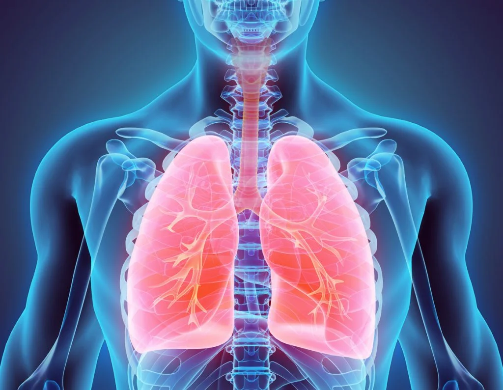 Human Body Lungs X-ray