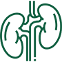 Nephrology Icon