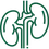 Nephrology Icon