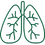 Pulmonology Icon