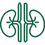 Kidney Icon